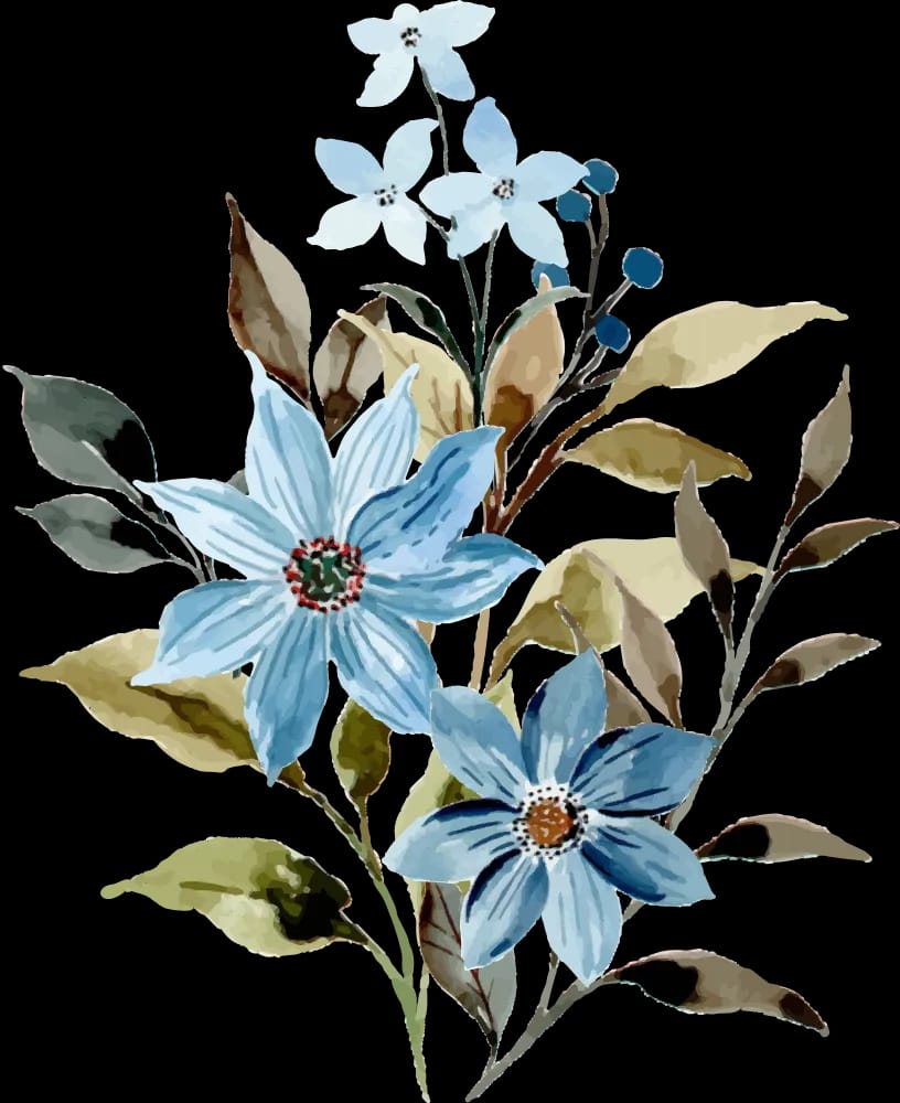 Decoration